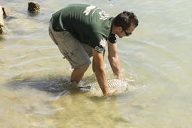Carpfishing 2013